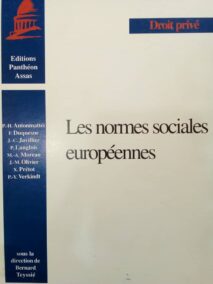 Couverture d’ouvrage : Les normes sociales européennes