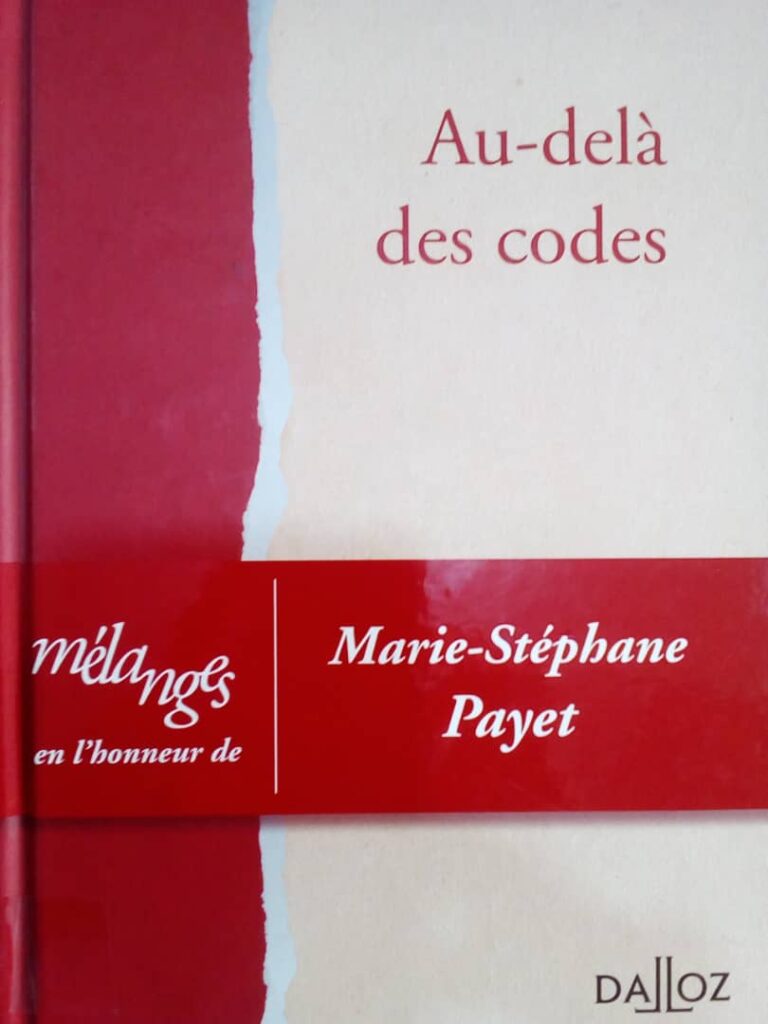 Couverture d’ouvrage : Au-delà des codes : Mélanges en l'honneur de Marie-Stéphane PAYET